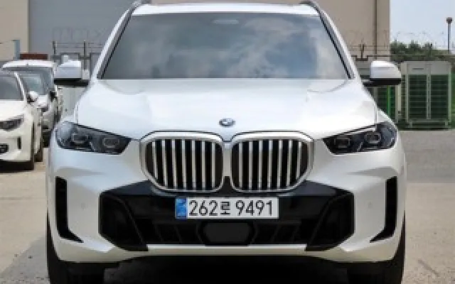 인천중고할부차 X5 (G05) xDrive 30d M 스포츠 매물 사진 18 - 2025/11 6,998km